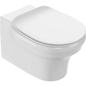 EDZ102-0 CLEO 1889 Подвесной безободковый унитаз EDZ102-0 CLEO 1889 Подвесной безободковый унитаз